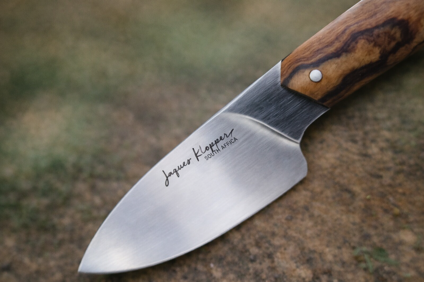 JRK Drop point Shark tooth Knife "Wild Olive"