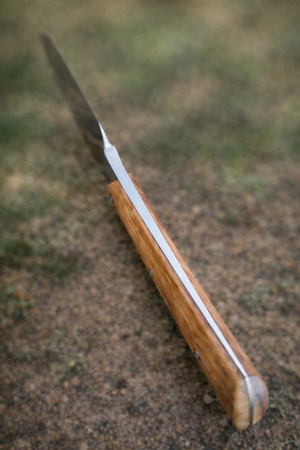 JRK Drop point Shark tooth Knife "Wild Olive"